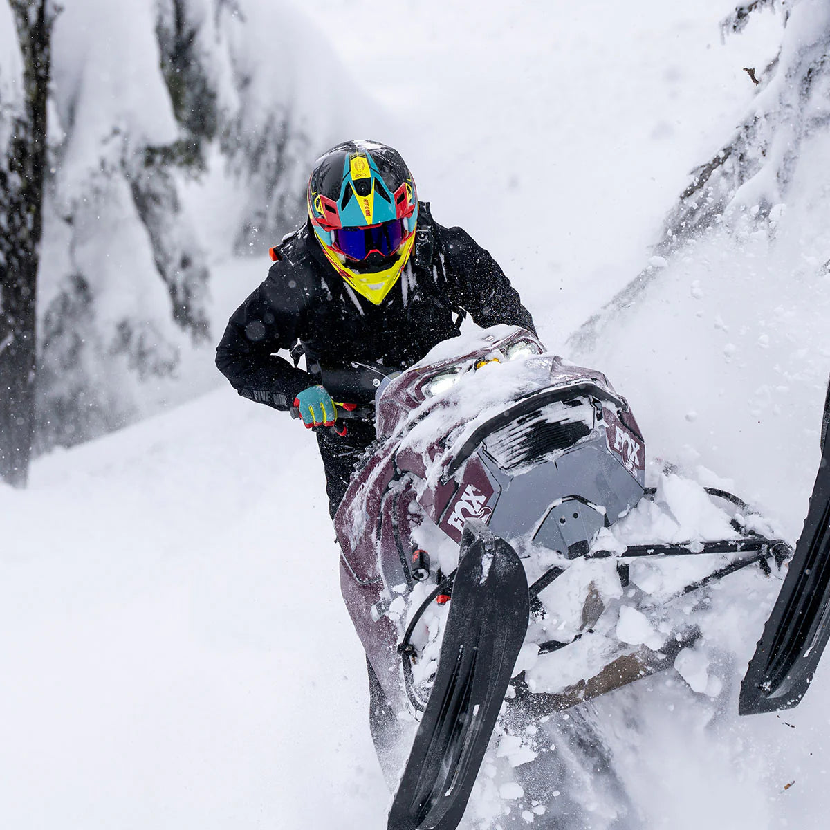 Freeride Gloves